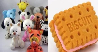 Biscuit Modelagem Com Massas Curso Completo; Aprenda Do Básico ao Avançado