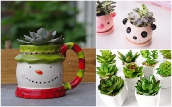 Curso de vasos suculentas e cactos decorados 31 aulas em vídeo completo começando do zero desde a forma e moldes.