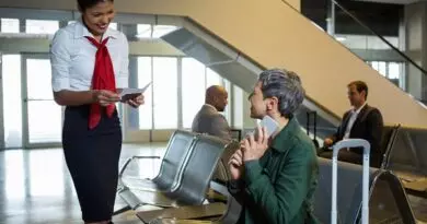 " Descubra 10 Fatos Essenciais sobre a Carreira de Comissário de Bordo"